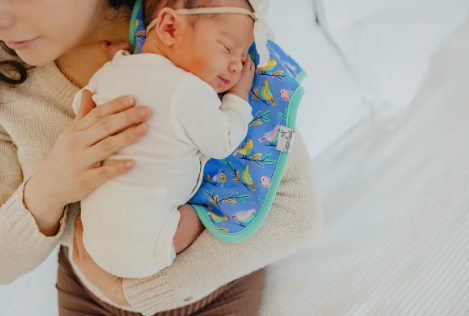 Birdie Burp Cloth Set (3 Pack)