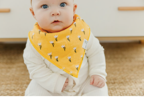 Birdie Bandana Bib Set (4 pack)