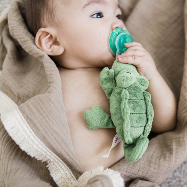 Nookums Paci Plushies Alli Alligator