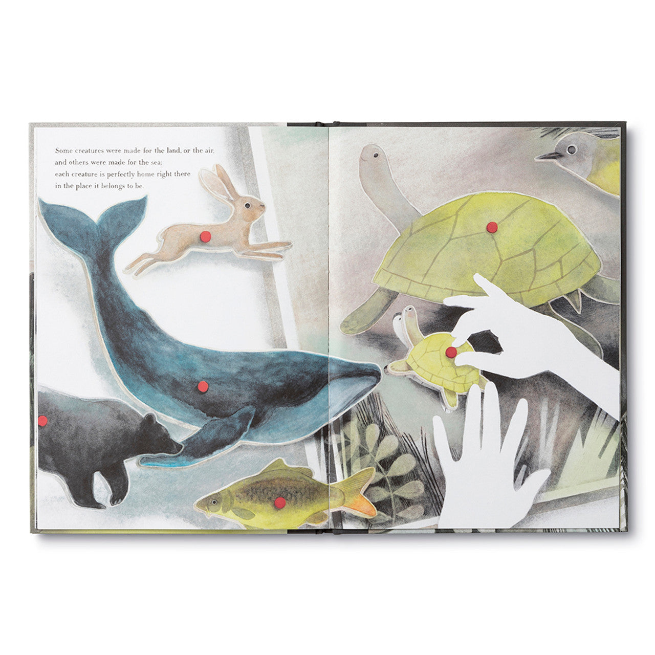 You Belong Here by HardCover Book