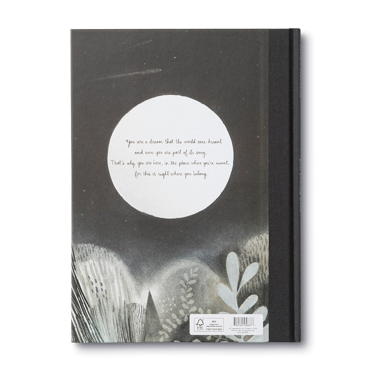 You Belong Here by HardCover Book