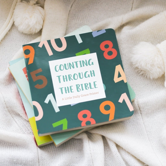 Counting Through the Bible Board Book