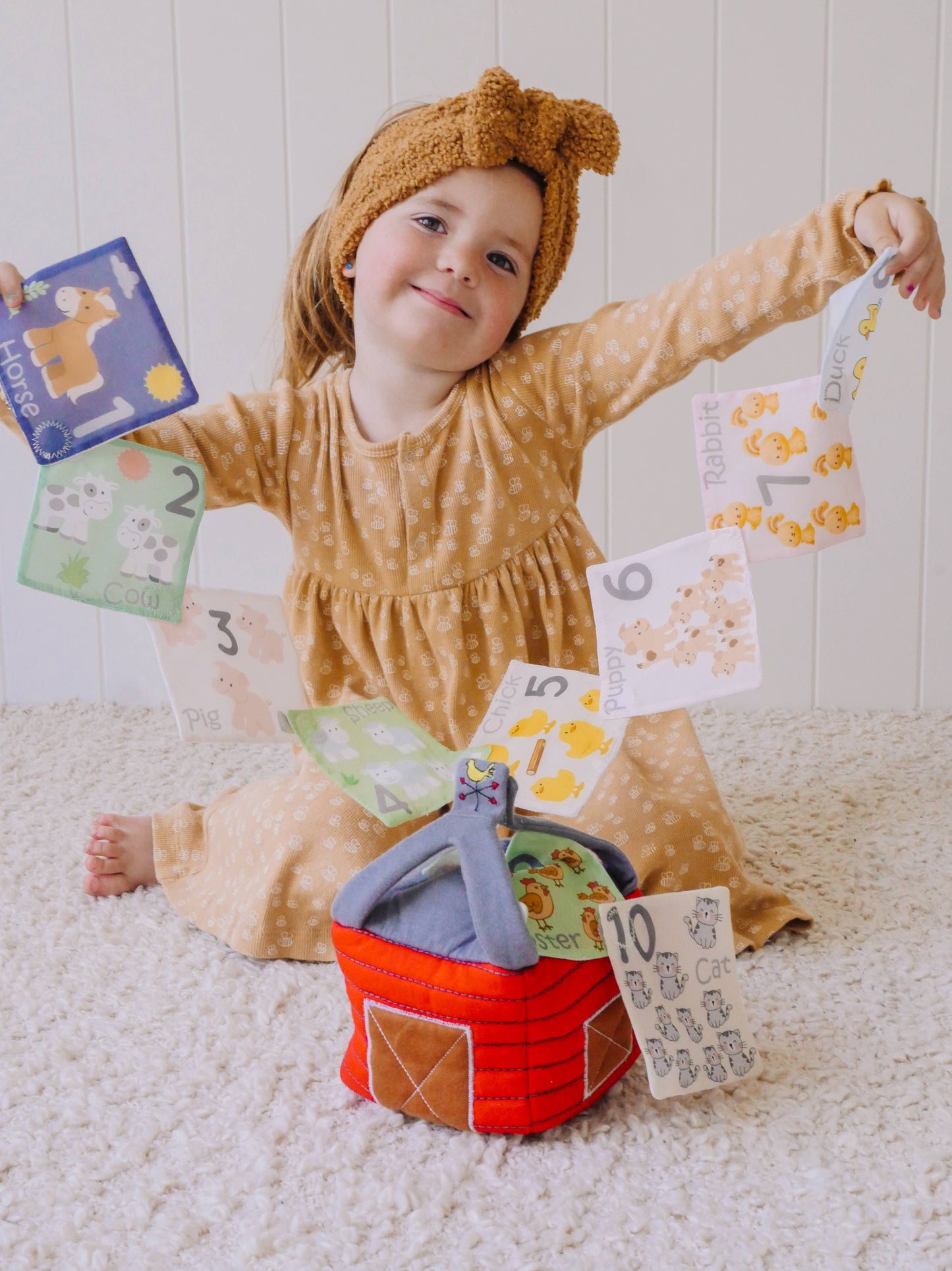 Farmhouse Wonder Cube with Animal Scunchies