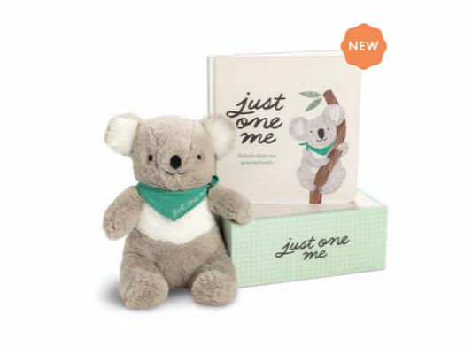 Just One Me- Sibling Kit with Plush