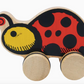 Ladybug Push Around